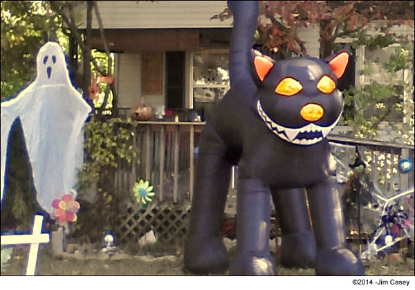 WARNING: BEWARE OF HERCULEAN GRUMPY CAT!